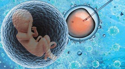 代怀选性别包生男孩